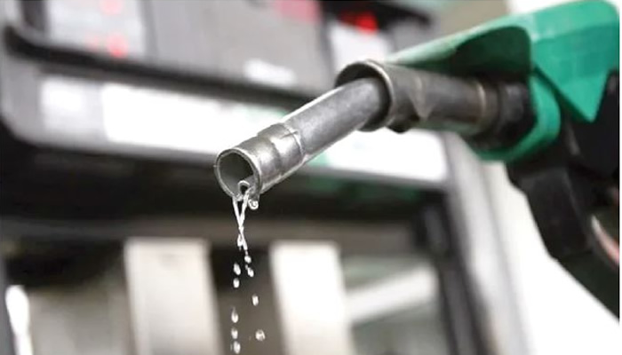 IMG_4029