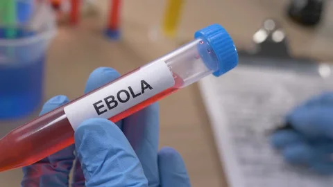 MediaErrands News Ebola