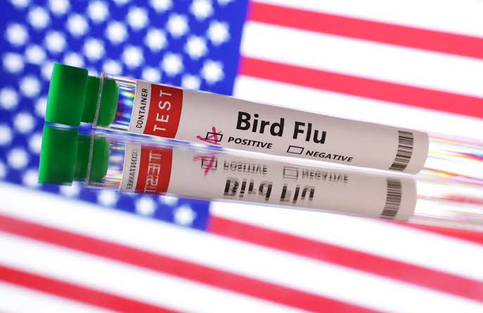 US Records First Human Death from Bird Flu: Louisiana Health Authorities Confirm Fatal Case of H5N1 Virus. 4 images (72)
