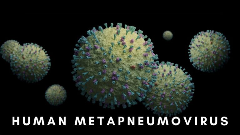 What you need to know about HMPV(Human Metapneumovirus), China's new virus. 5 maxresdefault (2)