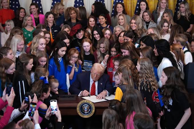Media Errands News Trump