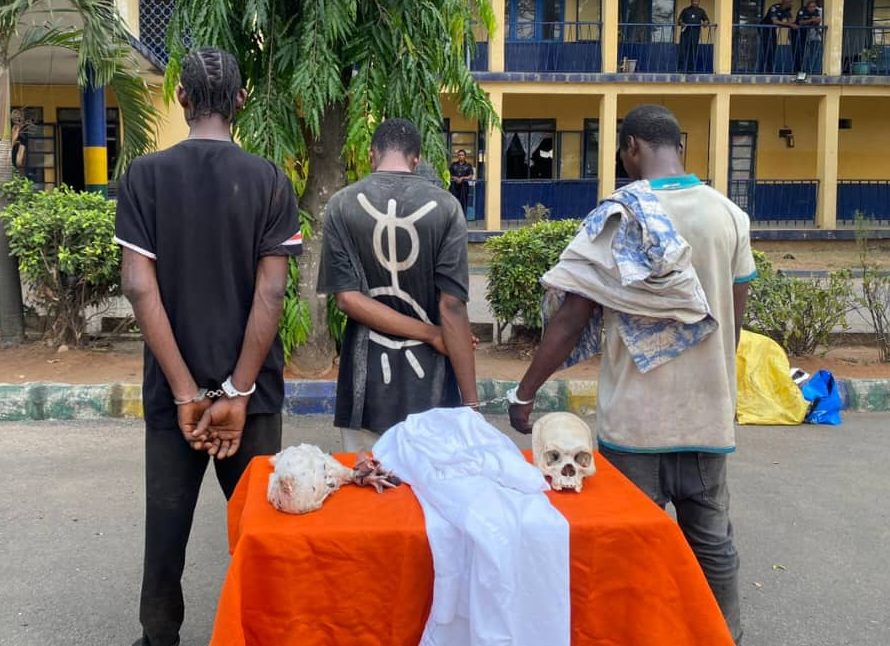MediaErrands News ARREST