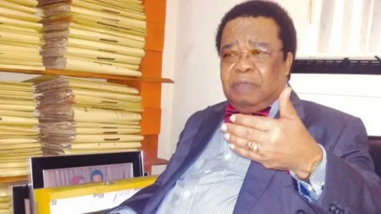 Ex-Minister Akinyemi Alleges Foreign Involvement in Boko Haram Funding