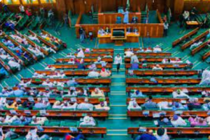 BREAKING: REPS PASS ₦54.99TN 2025 BUDGET 2 Reps