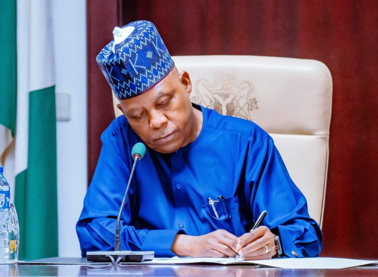 Vice President Kashim Shettima