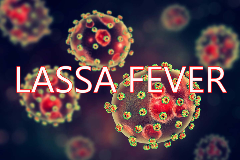 lassa-fever media errands