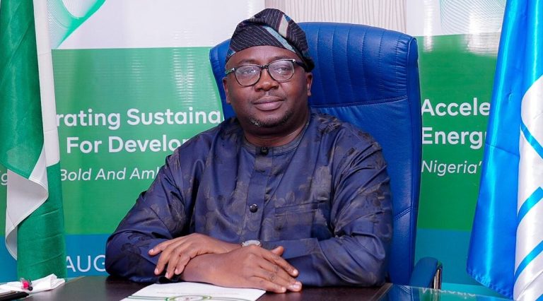Adelabu - 150 Million Nigerians Now Enjoy Electricity