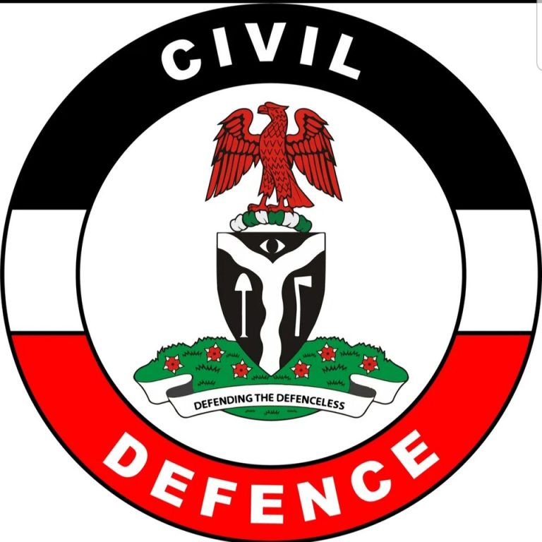 NSCDC FCT Boss Decries Surge in Child Molestation, Urges Stronger Action and Community Support 1 Man Arrested for Vandalising Bridge in Jigawa
