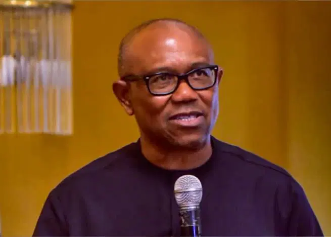 Sowore’s Arrest Sparks Outrage, Obi Demands Clarity 1 politics