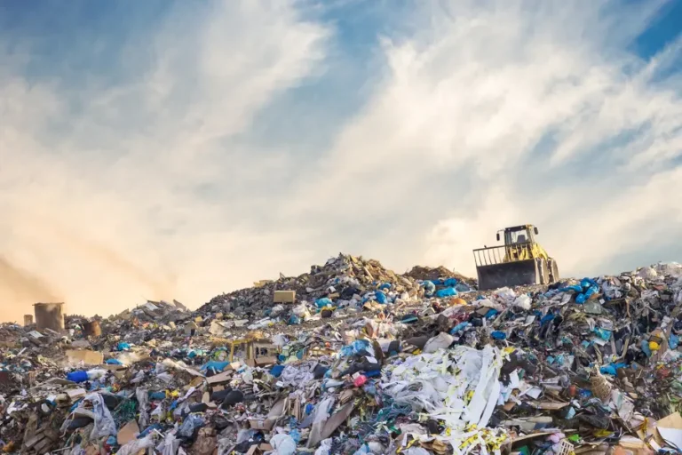 The Plastic Pandemic: Nigeria’s Waste Crisis and the Push for Sustainable Solutions 7 The Plastic Pandemic: Nigeria’s Waste Crisis and the Push for Sustainable Solutions