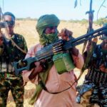 Terrorism-