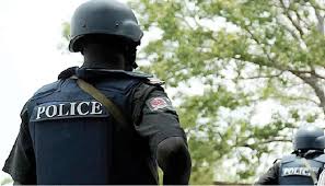 Police Nab Six Suspected Cultists, Recover Firearm in Anambra Raid 1 download (27)