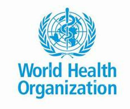 WHO Releases First Global Recommendation on Diabetes in Pregnancy 1 Recommendation