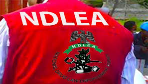 NDLEA Seizes ₦3bn Heroin Consignment Hidden in Coffee Packs at Abuja Airport 4 NDLEA