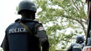 Jigawa Police Arrest Seven Suspected Cattle Rustlers, Recover Eight Cows 3 police